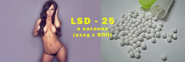 прущие грибы Верхнеуральск