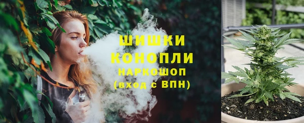 ПСИЛОЦИБИНОВЫЕ ГРИБЫ Верхний Тагил