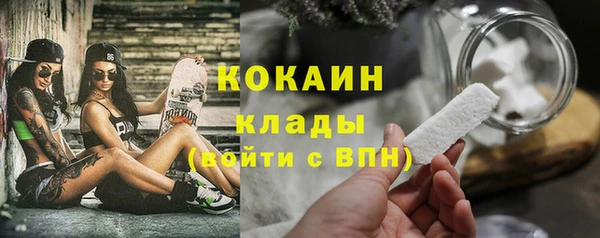 ПСИЛОЦИБИНОВЫЕ ГРИБЫ Верхний Тагил
